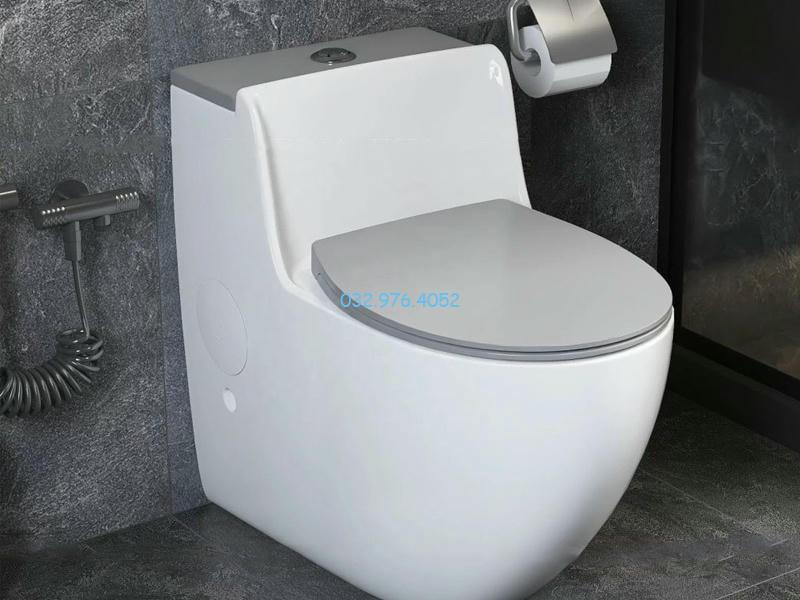 Bồn vệ sinh là một thiết bị vệ sinh phổ biến