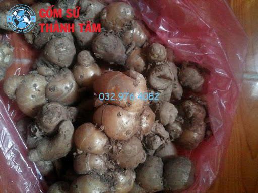 Chuẩn bị rượu và củ địa liền