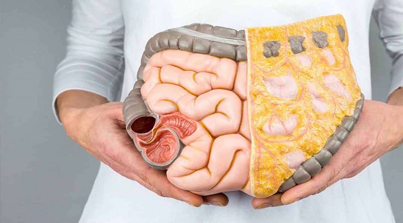 Củ khúc khắc ngâm rượu có tác dụng gì? Cách ngâm rượu và lưu ý cu khuc khac ngam ruou co tac dung gi cach ngam ruou va luu y 676d83a39bc6b
