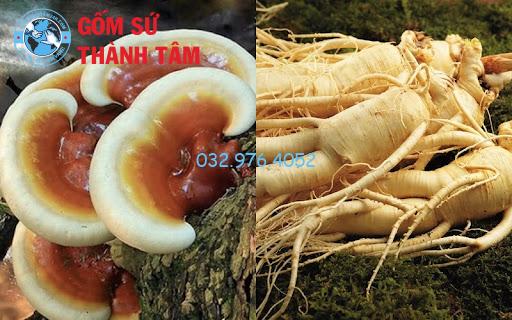 Nấm lim xanh ngâm rượu: Lợi ích và hướng dẫn cách ngâm rượu Nấm lim xanh kết hợp với nhân sâm giúp mang lại hiệu lợi ích cho sức khỏe