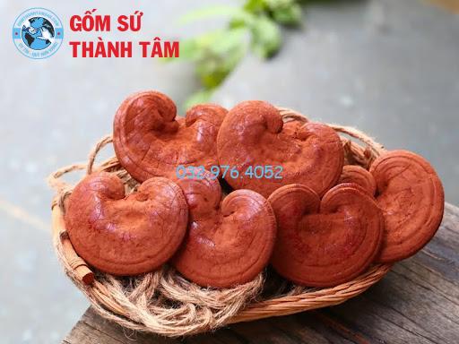 Lựa chọn nấm linh chi khô chất lượng