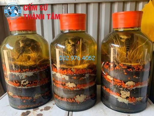 Rượu Rắn Hổ Mang: Cách Chọn Bình Ngâm Giúp Tăng Chất Lượng Rượu
