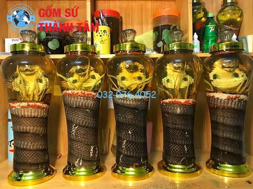 Rượu Rắn Ngâm Với Đinh Lăng: Công Dụng Và Cách Ngâm Chi Tiết
