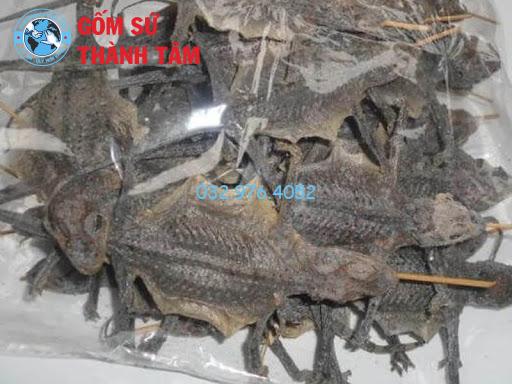 Tắc kè ngâm rượu: Công dụng, cách dùng và những lưu ý quan trọng Chuẩn bị tắc kè để ngâm rượu